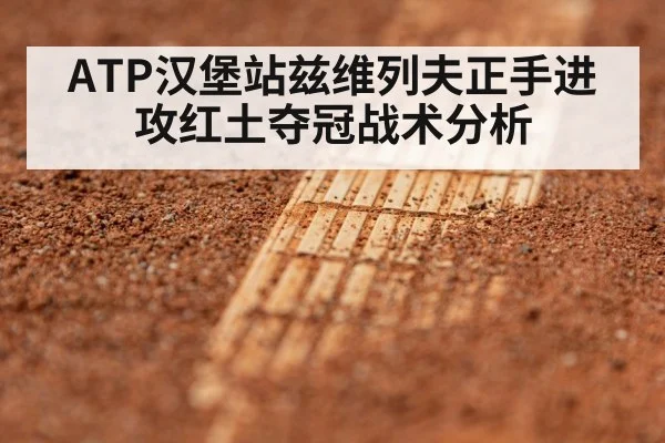 ATP汉堡站兹维列夫正手进攻红土夺冠战术分析